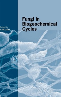 Fungi in Biogeochemical Cycles - Gadd, G. M. (ed.)