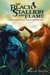 The Black Stallion and Flame - Bild 1
