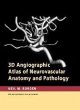 3D Angiographic Atlas of Neurovascular... - Bild 1