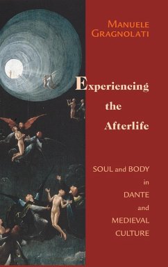 Cover Experiencing the Afterlife