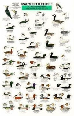 Mac's Field Guides: Northeast Coastal Water Birds - Macgowan, Craig
