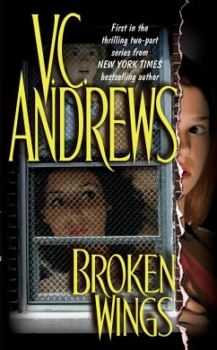 Cover Broken Wings