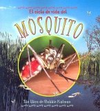 El Ciclo de Vida del Mosquito (the Life Cycle of a Mosquito)