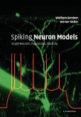 Spiking Neuron Models