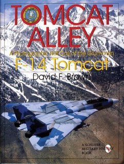 Tomcat Alley - Brown, David F.