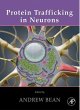 Protein Trafficking in Neurons - Bild 1
