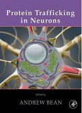 Protein Trafficking in Neurons