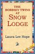The Bobbsey Twins at Snow Lodge - Bild 1