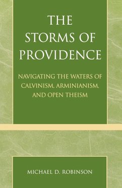 The Storms of Providence - Robinson, Michael D.