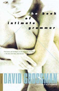 The Book of Intimate Grammar - David, Grossman