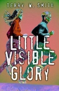 Little Visible Glory - Smith, Terry W.