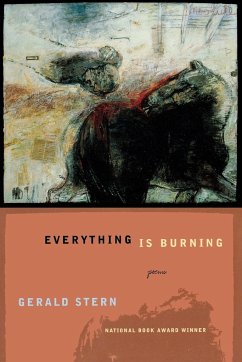 Everything Is Burning - Stern, Gerald