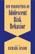 New Perspectives on Adolescent Risk... - Bild 1