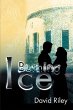 Burning Ice - Bild 1