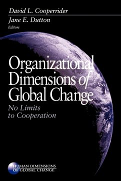 Organizational Dimensions of Global Change - Cooperrider, David L. / Dutton, Jane E. (eds.)