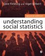 Understanding Social Statistics - Bild 1