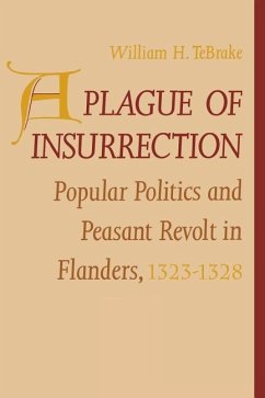 A Plague of Insurrection - Tebrake, William H