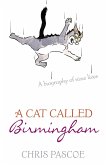 A Cat Called Birmingham A Cat Called Birmingham