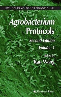 Agrobacterium Protocols - Wang, Kan (ed.)
