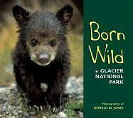 Born Wild in Glacier National Park - Jones; Jones, Donald M.