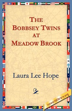 The Bobbsey Twins at Meadow Brook