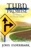 Turn Toward Promise: The Prophets and Spiritual Renewal