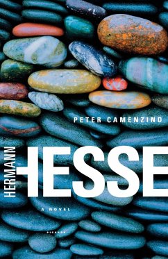 Peter Camenzind - Hesse, Hermann