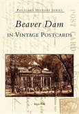 Beaver Dam in Vintage Postcards