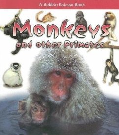 Monkeys and Other Primates - Sjonger, Rebecca