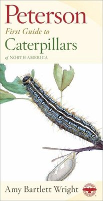 Peterson First Guide to Caterpillars of North America - Wright, Amy Bartlett; Peterson, Roger Tory