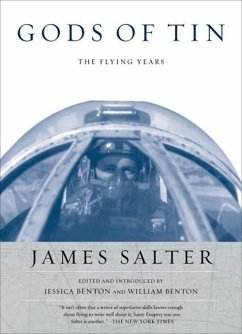 Gods of Tin: The Flying Years - Salter, James