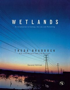 Wetlands - Braddock, Theda; Berntsen, Lisa