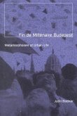Fin de Millenaire Budapest: Metamorphoses of Urban Life Volume 8
