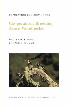 Population Ecology of the Cooperatively Breeding Acorn Woodpecker - Koenig, Walter D.; Mumme, Ronald L.