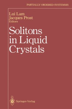 Solitons in Liquid Crystals - Lam, Lui / Prost, Jacques (Hgg.)