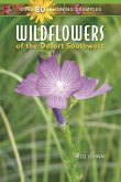 WILDFLOWERS OF THE DESERT SOUT
