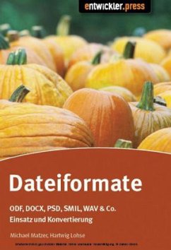 Dateiformate - Matzer, Michael; Lohse, Hartwig