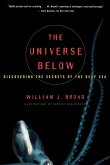 The Universe Below