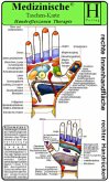 Handreflexzonen Therapie - Medizinische Taschen-Karte