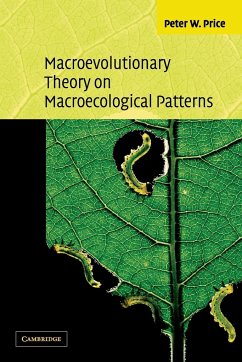 Macroevolutionary Theory on Macroecological Patterns - Price, Peter W.