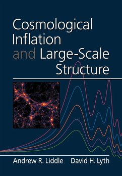 Cosmological Inflation and Large-Scale Structure - Liddle, Andrew R.; Lyth, David H.