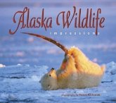 Alaska Wildlife Impressions