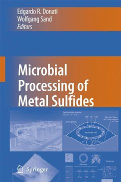 Microbial Processing of Metal Sulfides - Donati, Edgardo R. / Sand, Wolfgang (eds.)