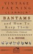 Bantams and How to Keep Them (Poultry... - Bild 1