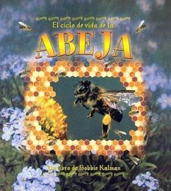 El Ciclo de Vida de la Abeja (the Life Cycle of a Honeybee) - Kalman, Bobbie