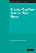 Gravity-Capillary Free-Surface Flows - Bild 1
