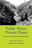 Public Power, Private Dams