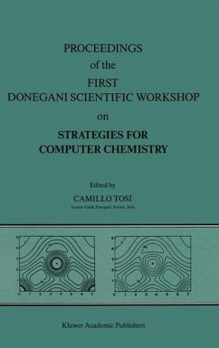 Proceedings of the First Donegani Scientific Workshop on Strategies for Computer Chemistry - Tosi, Camillo (Hrsg.)