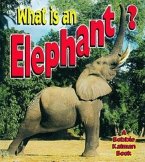 What Is an Elephant?