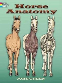 Horse Anatomy Coloring Book - Green, John
